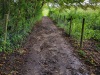 2.4 km Towards the end of the Withymead section, the bridleway can be quite muddy and slippery under the trees...