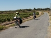 Sherry and Frank in vineyards near Villegailhenc